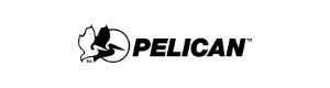 Pelican